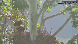 USS Eagles - USS 5 creepy walk