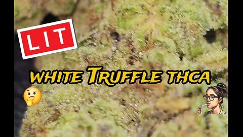 White Truffle THCa | LIT Farms