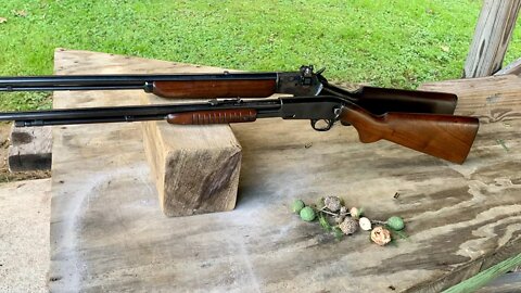 Going nuts challenge with my 1932 Winchester model 61 pump action 22