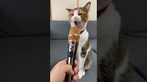 kkkk😂😂😂😂 #shorts