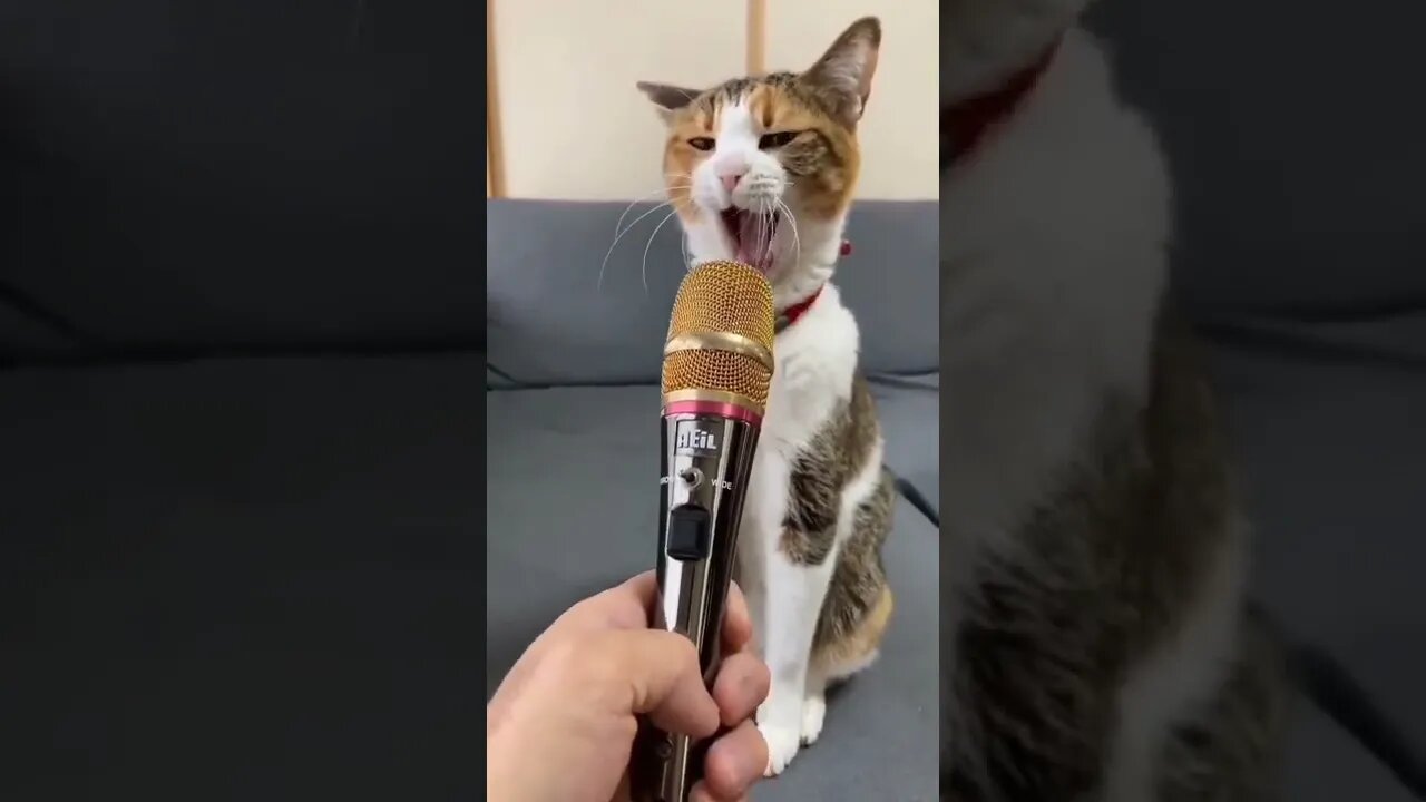 kkkk😂😂😂😂 #shorts