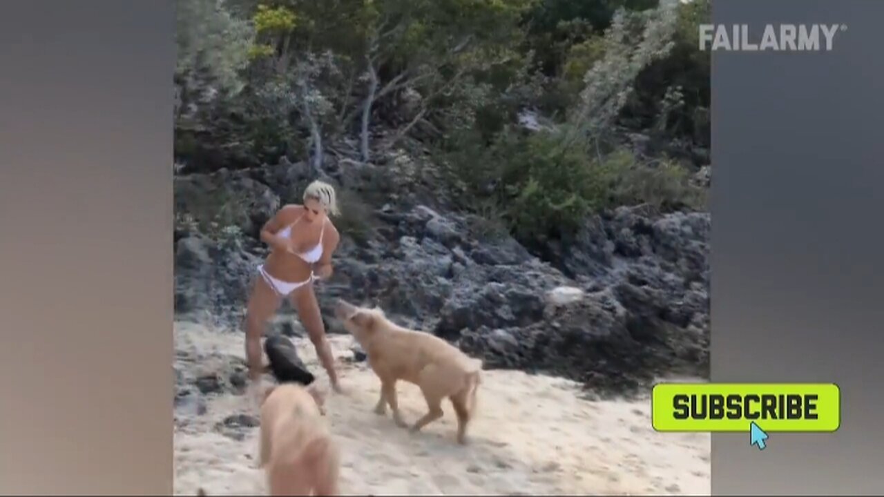 When Animals Go Crazy | Funny Wild Animals Fails 2023