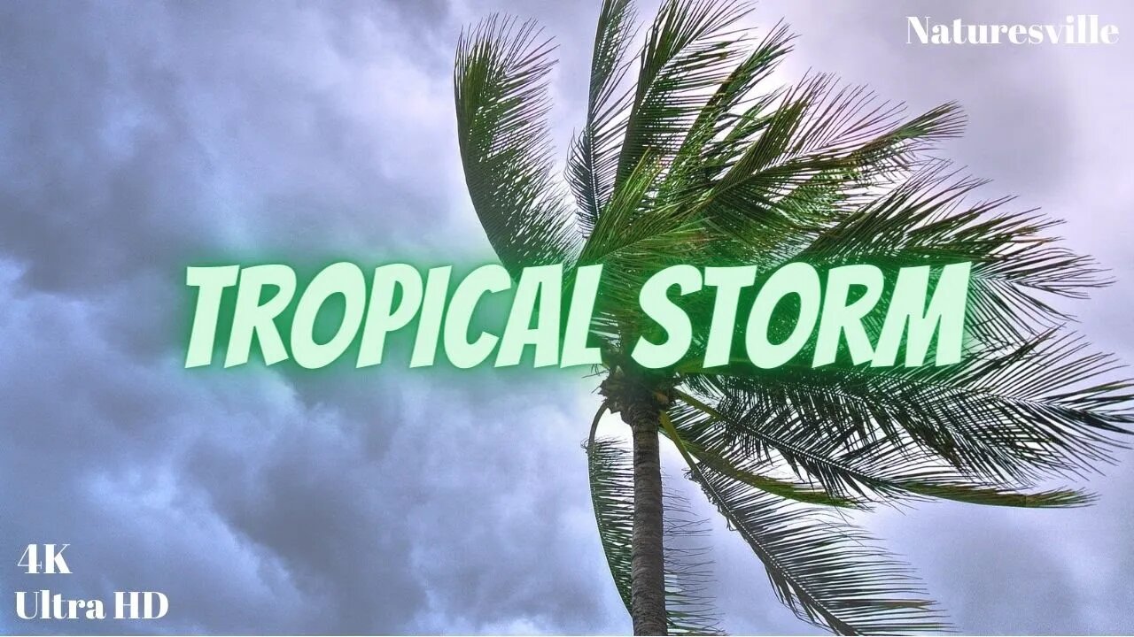 Tropical Torrential Rainstorm With Music for Sleeping, Relaxation, Spa And Stress-Relief. ASMR