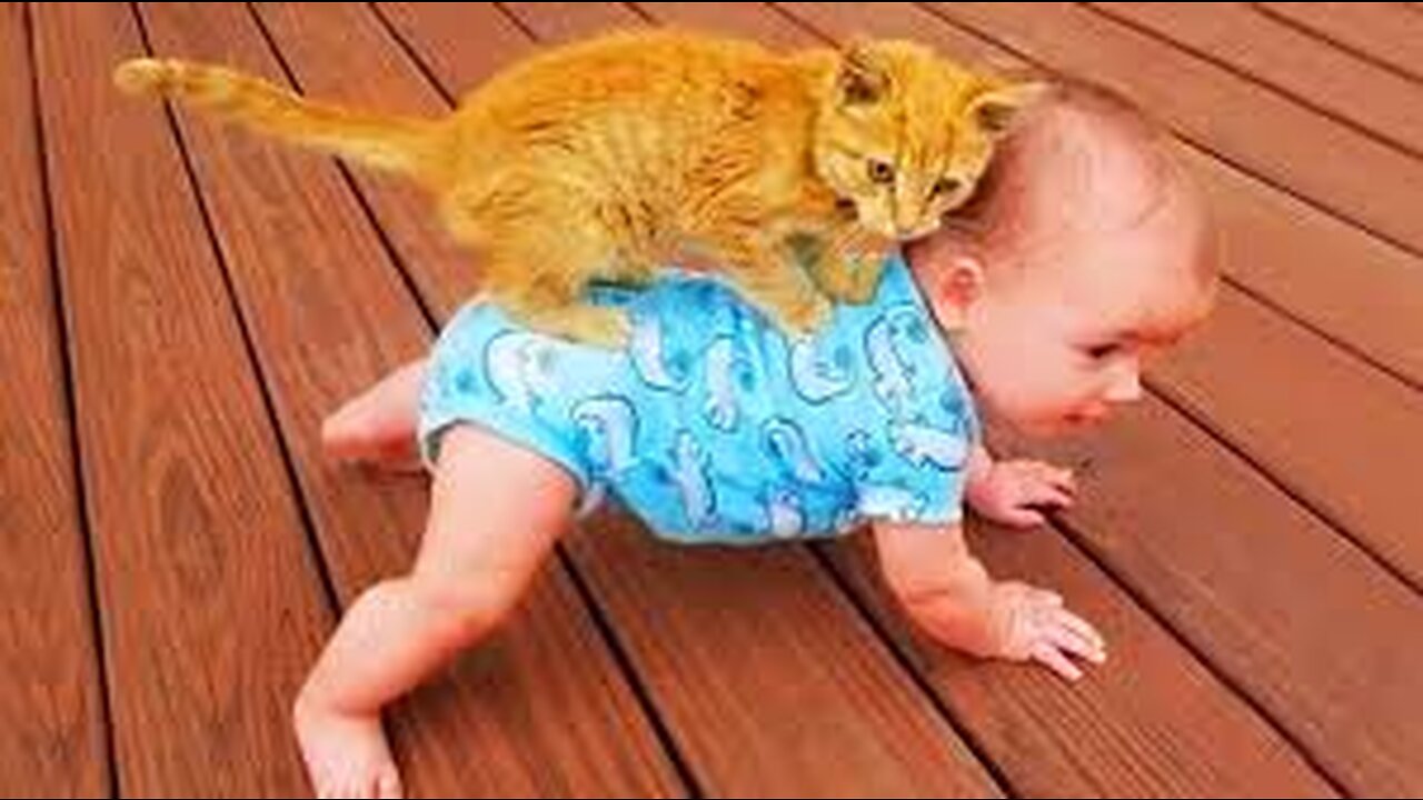 Try not to laugh - funny cats and babys together video part #1 😇 2022 i hope you enjoy the video.