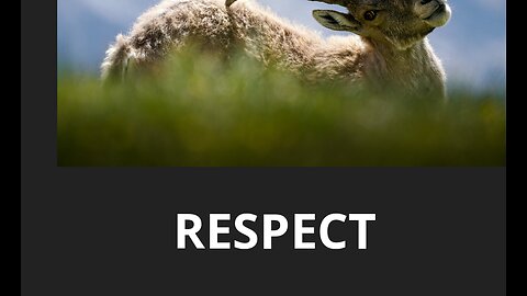 RESPECT 2024