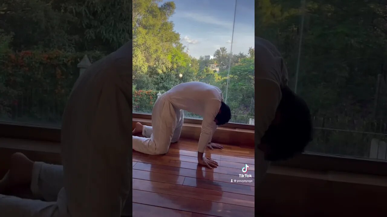 How to CatCow