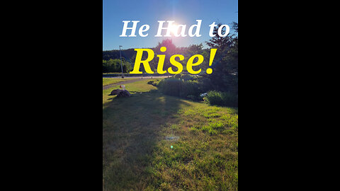 Jesus Had to Rise | John 20:1-18