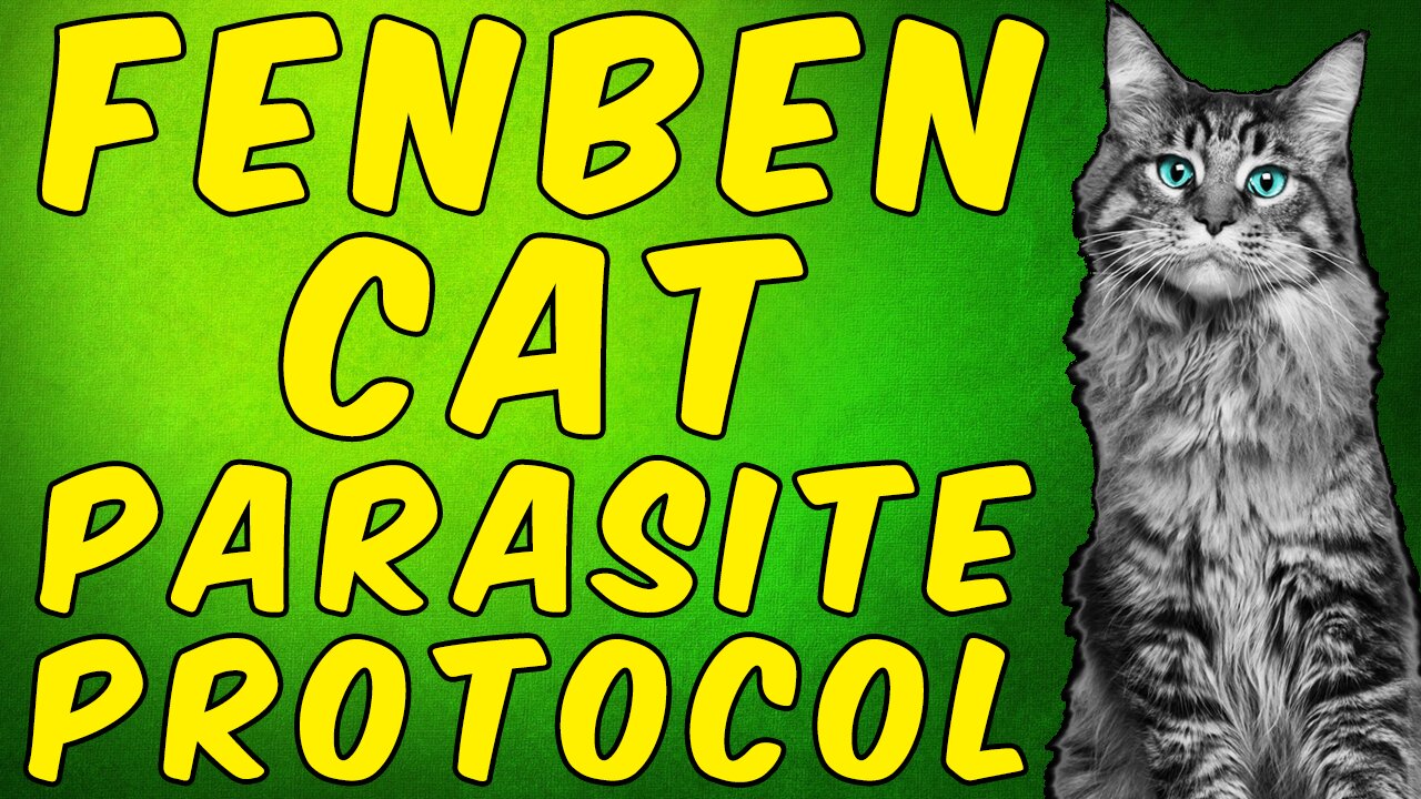 The Fenbendazole (Cat) Parasite Protocol