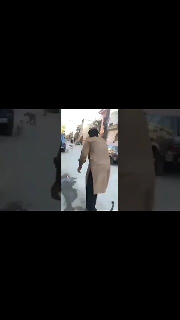 Oh No.. Dog #Bantasticfun #ytshorts #Funny #Comedy #viral #viral2022 #trending #trending2022