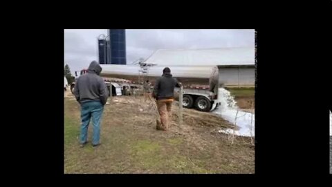 Dairy Farmers Are Dumping Milk