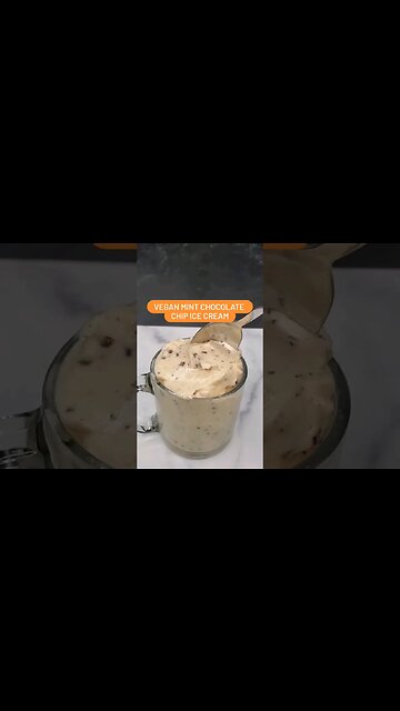 Vegan Mint Chocolate Chip Ice Cream