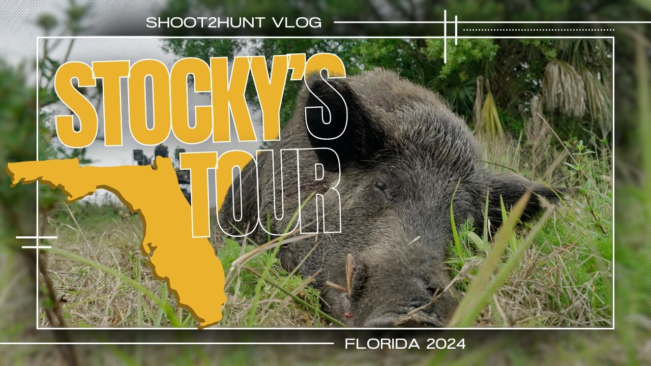 Vlog #2 | Ft. Stocky's Stocks in the Wetlands of Florida