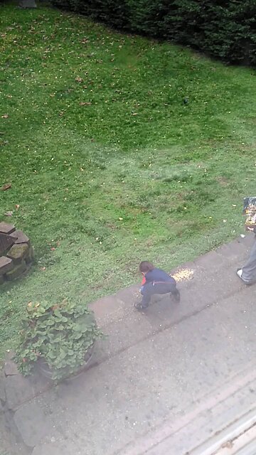 Son feeding the birds