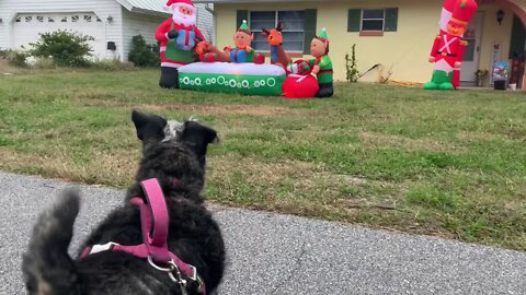 Stevie vs Christmas Inflatable