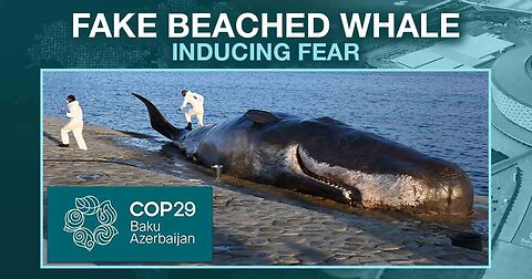 Fake Beached Whale Near UN ‘Climate’ Summit Aimed at Inducing Fear