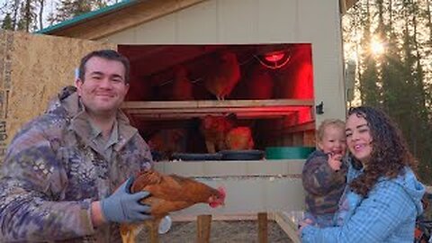 DIY Backyard Chicken Coop | Chickens in Alaska