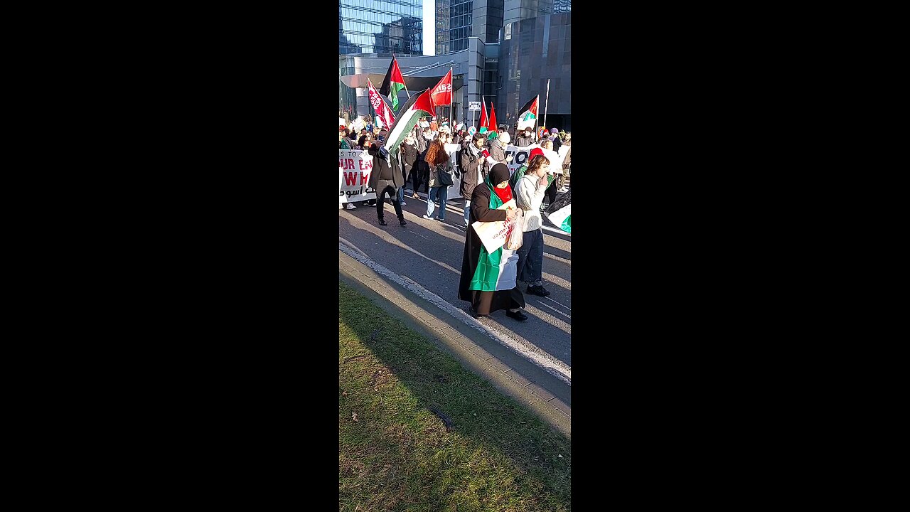 Brussels Pro-Palestine protest 17/12/2023