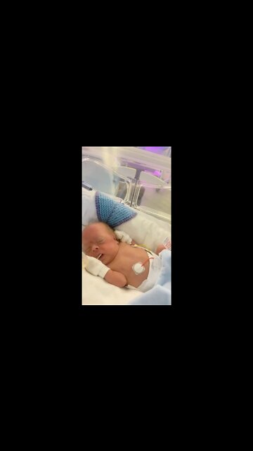 These premies are thriving!