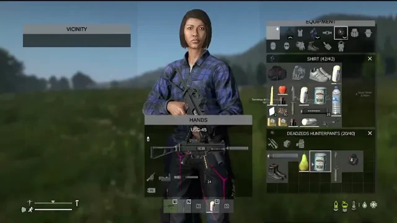 DayZ - Starting again on the best PvE Server.