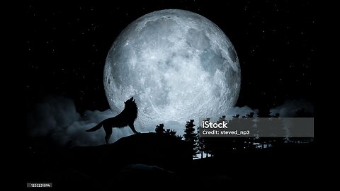 Under the Moonlight, Mysteries of Wolves