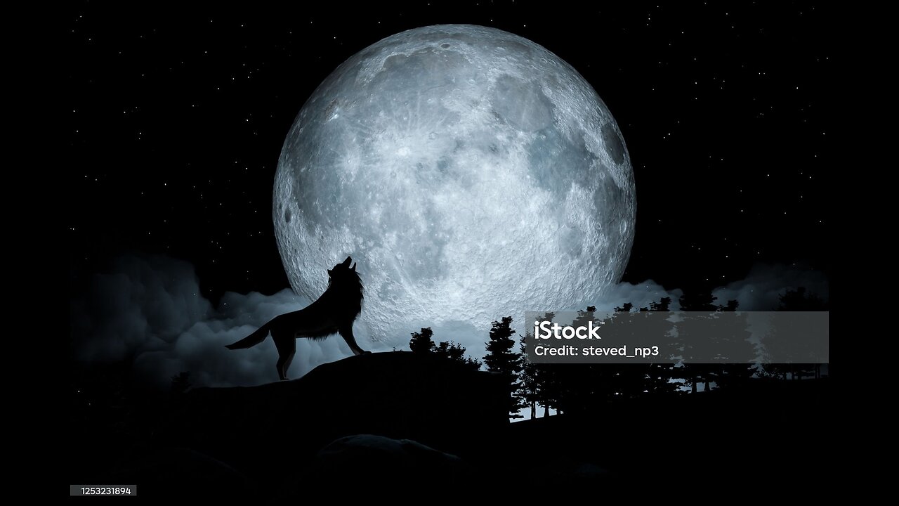 Under the Moonlight, Mysteries of Wolves