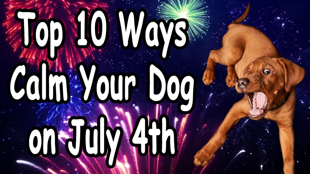 10 GENIUS Tricks to Keep Your Dog CALM During Fireworks (You'll Wish You Knew These Sooner!)