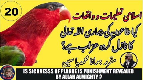 Is sickness of plague is punishment revealed by Allah Almighty?