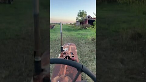 Dragging trees out to the burn pile on the Grumpy farmstead.