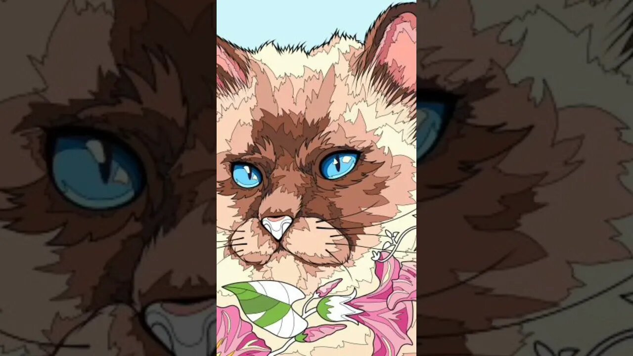 Here is a blue eyes kitty