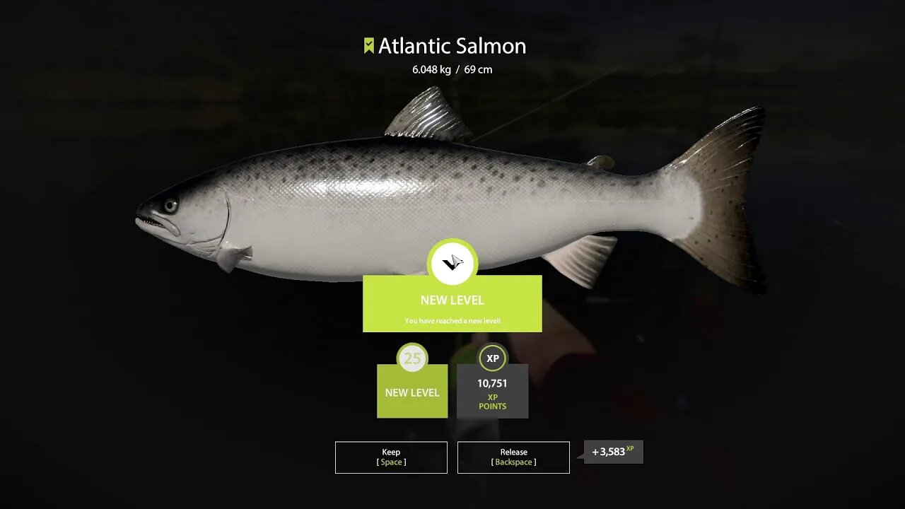 Russian Fishing 4 Volkhov River Atlantic Salmon 6 . 048 Kg