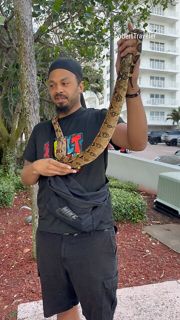 #florida #floridalife #snake #miami #fortlauderdale
