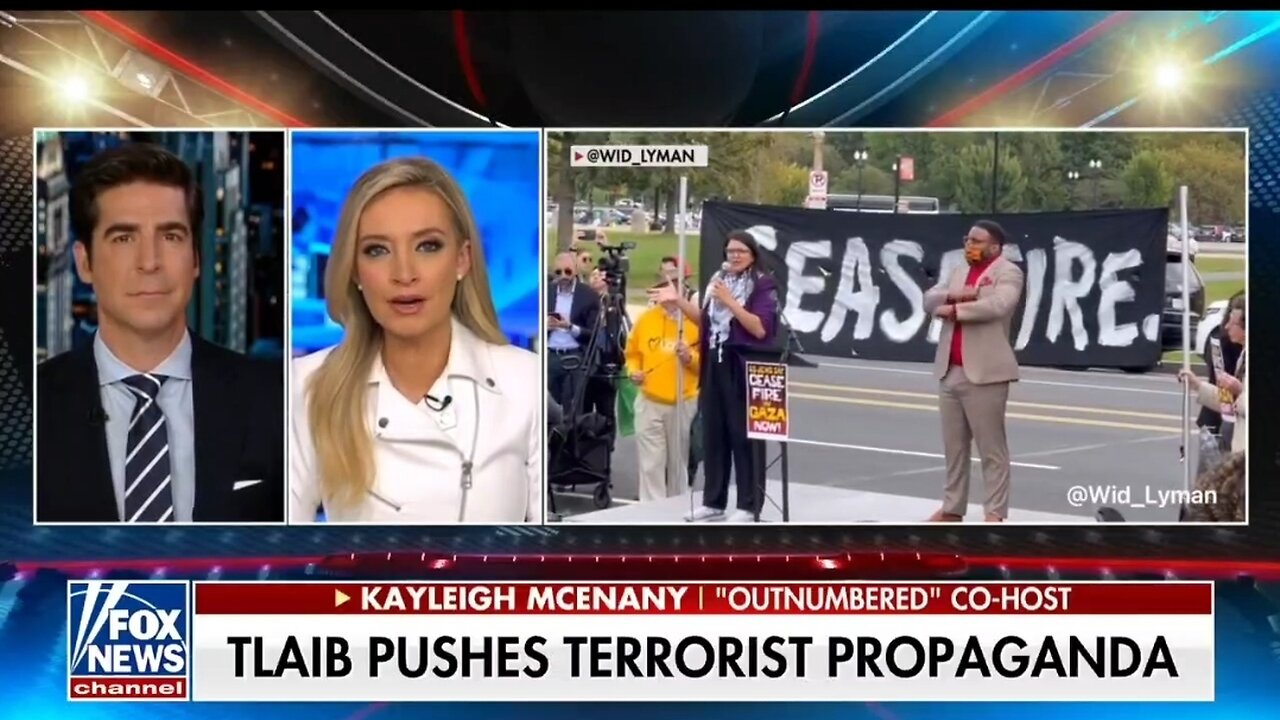 Kayleigh McEnany: Tlaib and Omar Are Standing Up For Terrorists