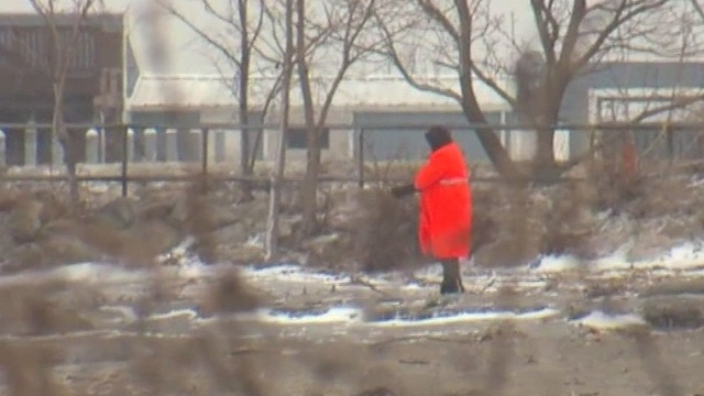 Search crews scour Lake Erie shores for debris from missing jet