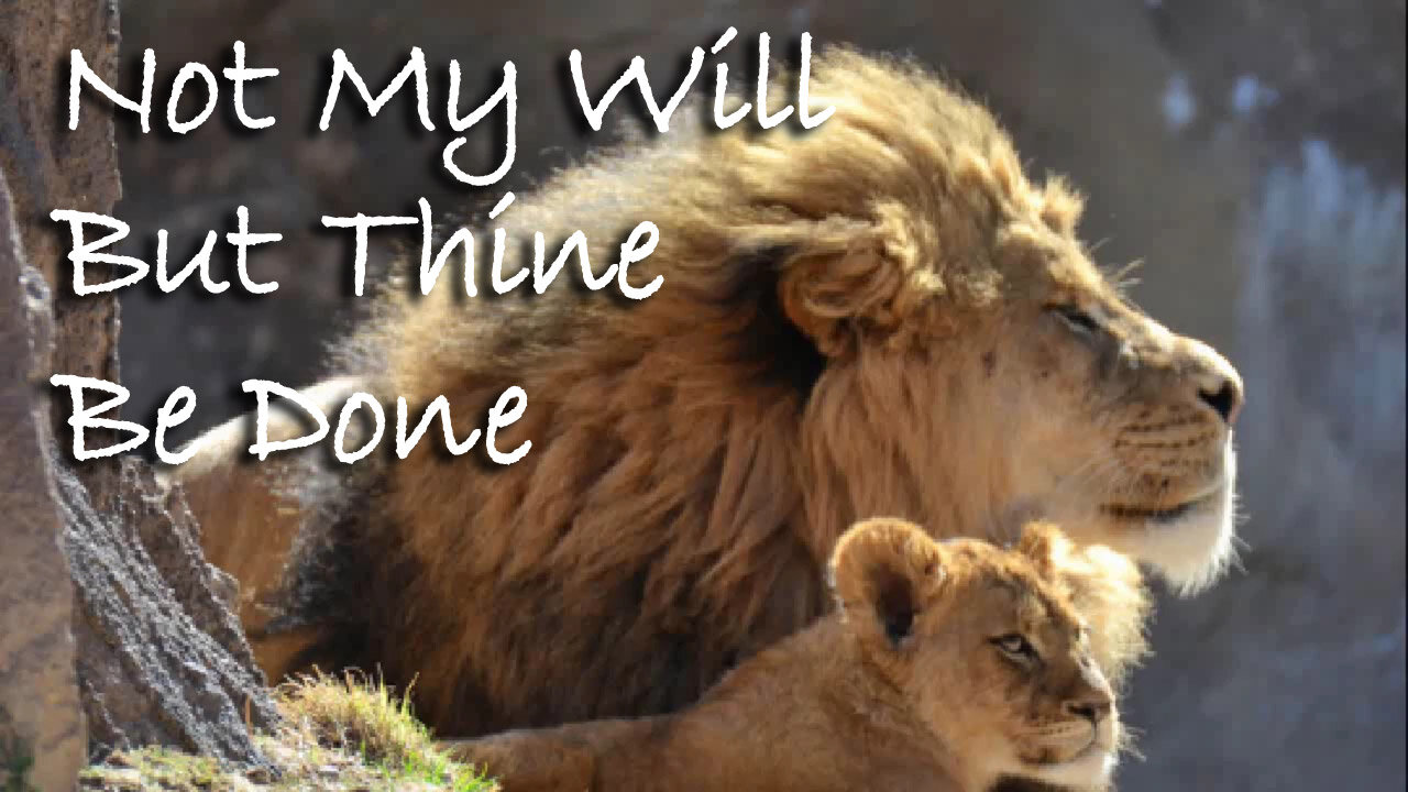 Not My Will But Thine Be Done -- Instrumental Worship Chorus