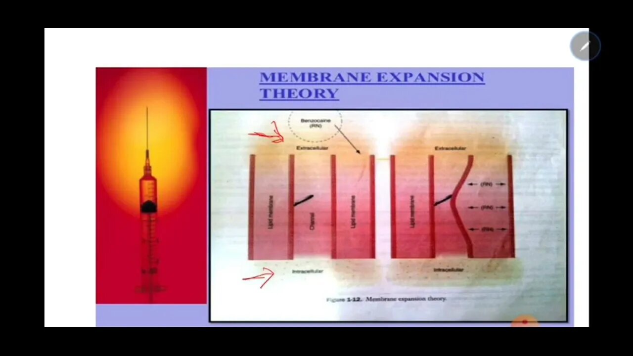 Oral Surgery L5 (Neurophysiology and Pharmacology of Local Anaesthesia)