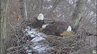 Hays Eagles Mom is gifted a huge fish by Dad 2022 02 01 17:17
