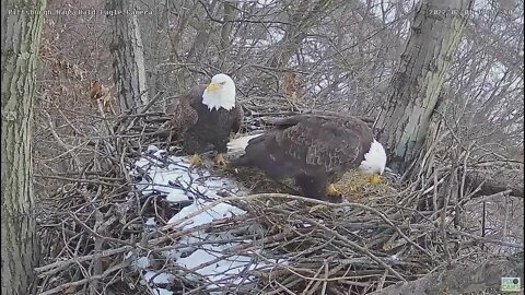 Hays Eagles Mom is gifted a huge fish by Dad 2022 02 01 17:17