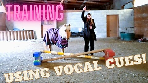 We Taught Our Horses To Free Jump With Vocal Cues!