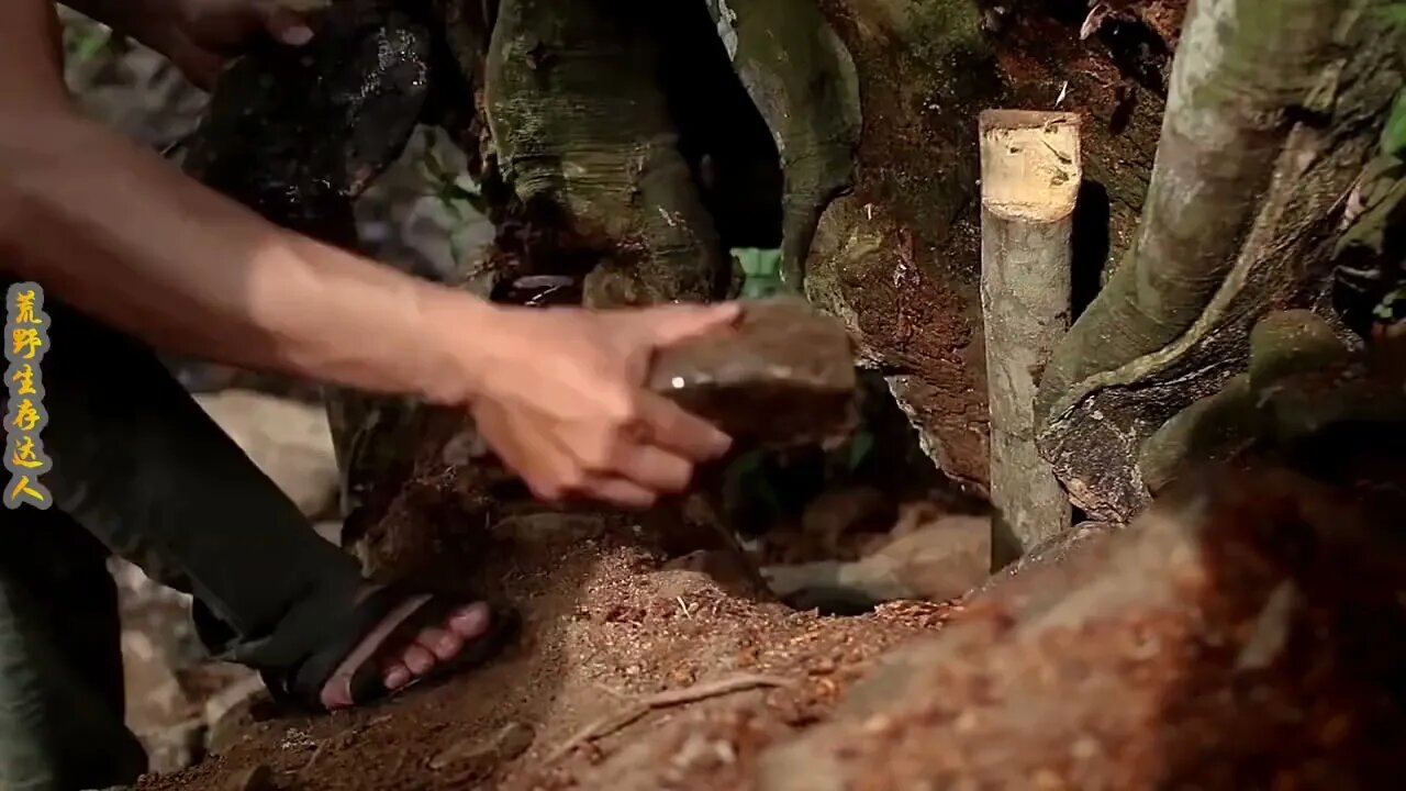 Man lives in the rain forest all year round and uses natural tree holes as shelter/Episode13