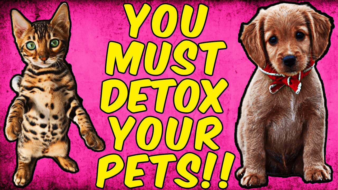 WARNING You Must Put Your Cats Or Dogs On A Parasite DETOX!