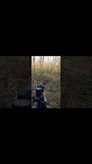 I PUT A BOAR CALL IN MY POCKET #hunting #hoghunting #boar