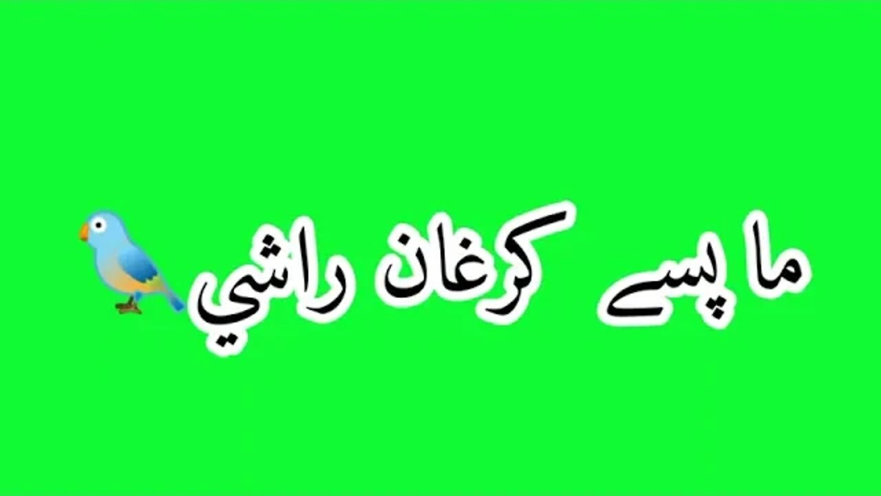 Green Screen Pashto Shayari lyrics Pashto Shayari lyrics Green screen