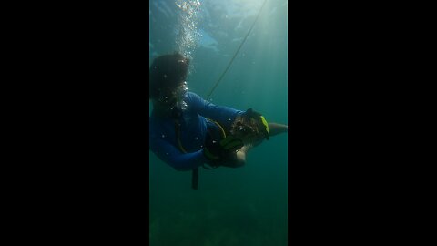 Have you done this??wait for it!! #pufferfish #rumble #vlog #snorkeling #new