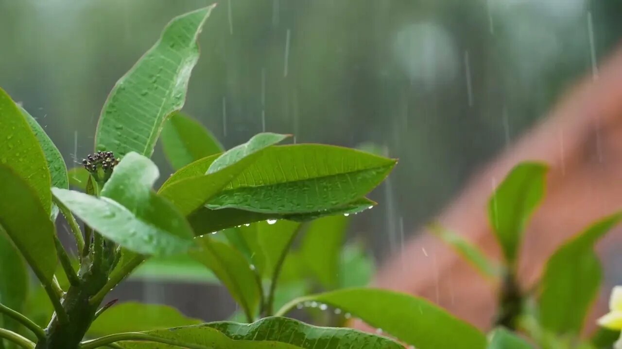 beautiful relaxing music - relaxing deep sleep music- meditation music-meditation music relaxing mus