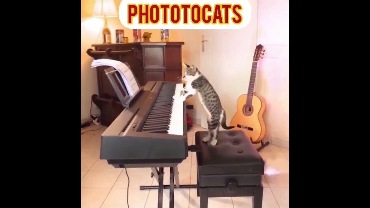 music