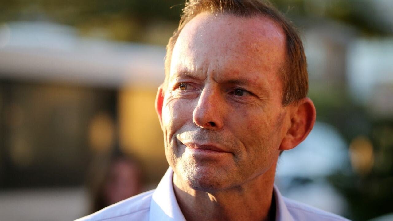 Abbott hints at return to Parliament