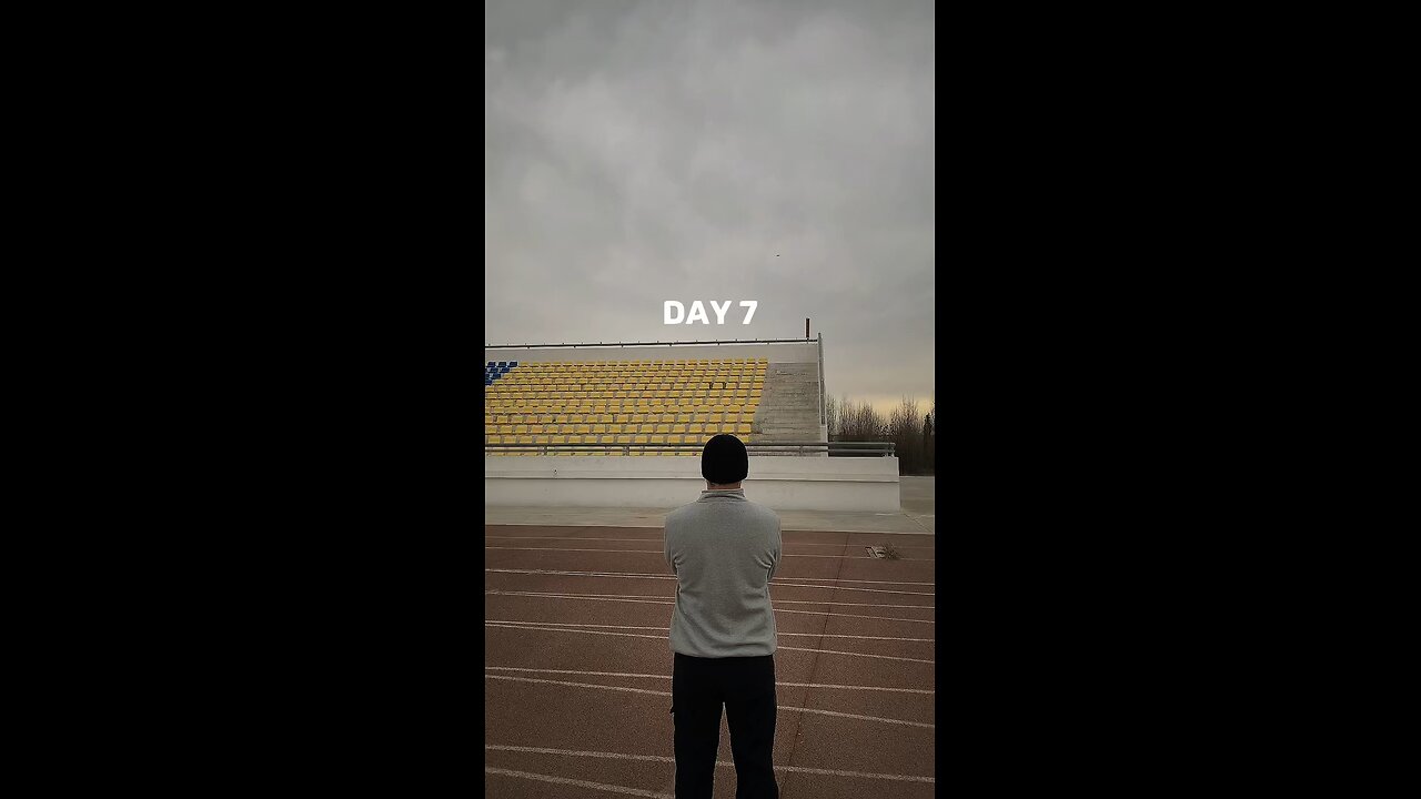 Day 7