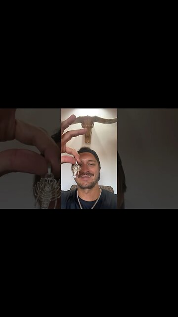 You won the Silver lobster!