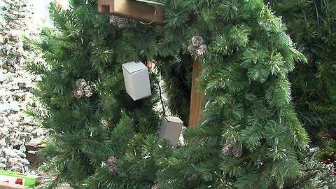 Wreathes