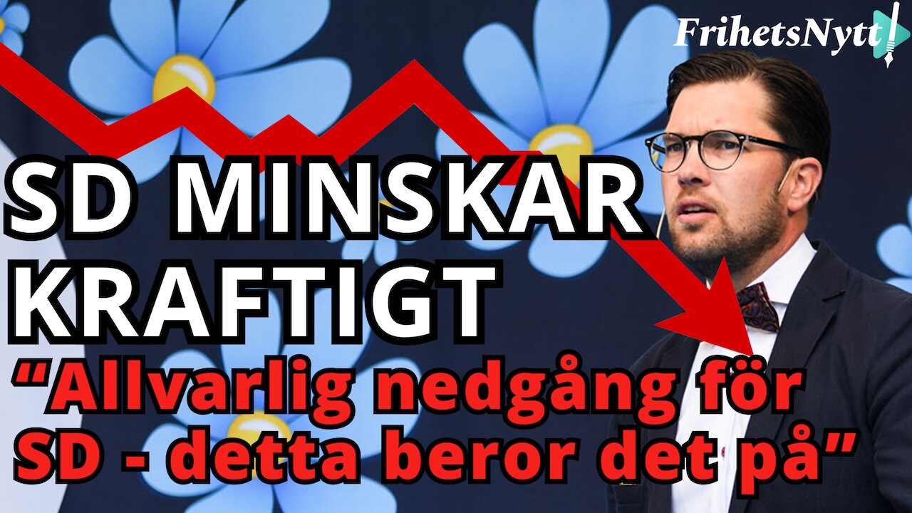 SD minskar kraftigt - "Är oerhört allvarligt för partiet" - Detta är anledningen till missnöjet